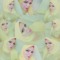 ShYmaa Omar