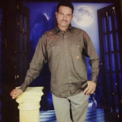 ‫محمد حسانين المصري‬‎