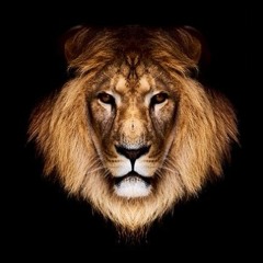 Simba