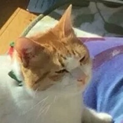 Ru
