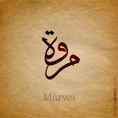 Marwa E. AbdulRahman