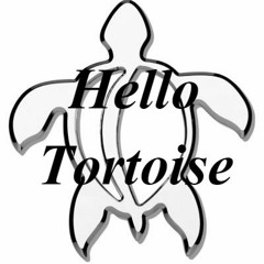 Hello Tortoise