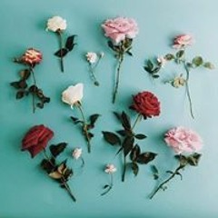 Màrwà M. Abd Éĺmaksòud