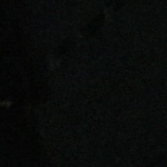 Justin Louden