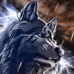 DesignWolf | Music  ✅