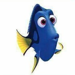 dory