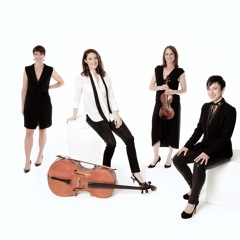 Enigma Quartet -live concert excerpts & demo recordings