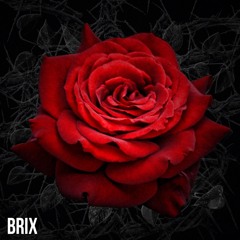 Brix Rosa