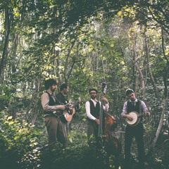 The Trivettes Bluegrass Brothers