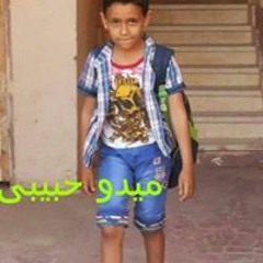 Ibrahim Hafz