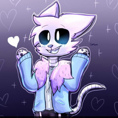 scratch the cat