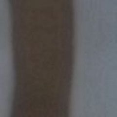 Talha