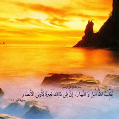 ‫احمد مجدى‬‎