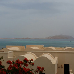 Amr Gebril