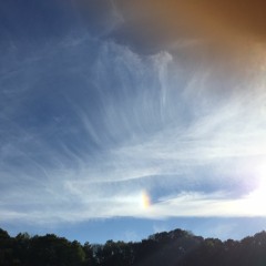 Icelakes - Foreground (Grizzly Bear Cover)