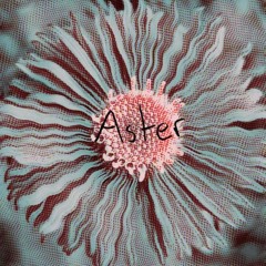 Aster