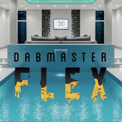 DabMaster Flex