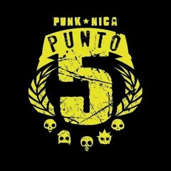 Punto 5