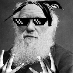 Wiz Werd (Wizwerd)
