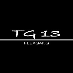 TG13 FLEX GANG