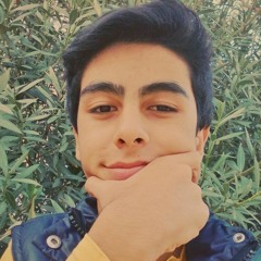 Tacettin Furkan Şalı