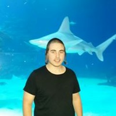 יוסף חיים פליישפרב