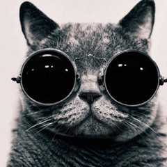 MrKibbles