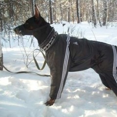 Astrid Raymonde Thiebaux