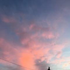 JACQUELINE F FONSECA