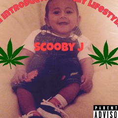 Scooby J