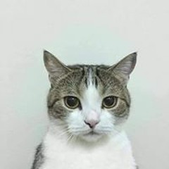 Nguyễn Trọng Thành