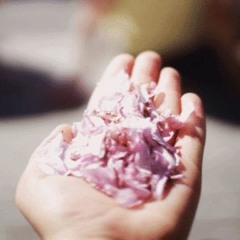 Sakura Flower