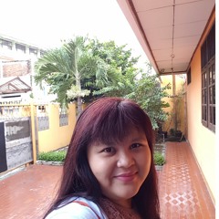 dwi enno