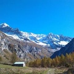 Frédérique Dumas-Fiault