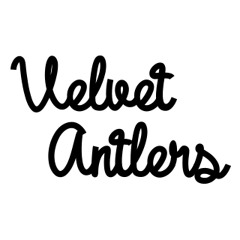 Velvet Antlers