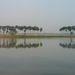 বেলের কাঁটা