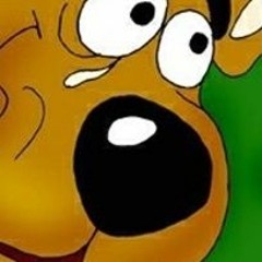 scoocydoong
