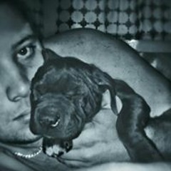 Brad Bull
