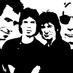 Maestro Zen Guaraná