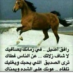احمد ابورقيه