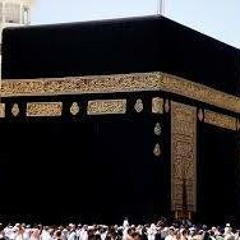 ضحى الشامى