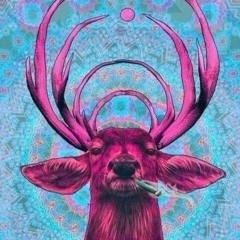 Vagus   Plotwist (Euphoria) Original Mix