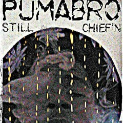 PUMABRO STILCHIEFN (SIENDO EL JEFE)