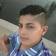 احمد حلمى