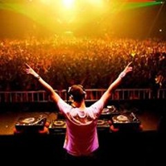 Ryberg Alin Palomino