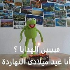 احمد شيبه باشا