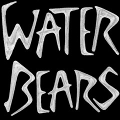 Water Bears