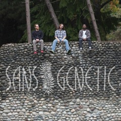 Sans Genetic
