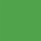 Parrot Penguin