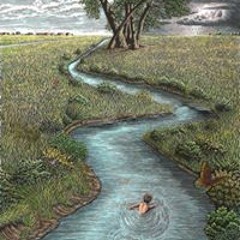 Nicolás Fraile Pauchard